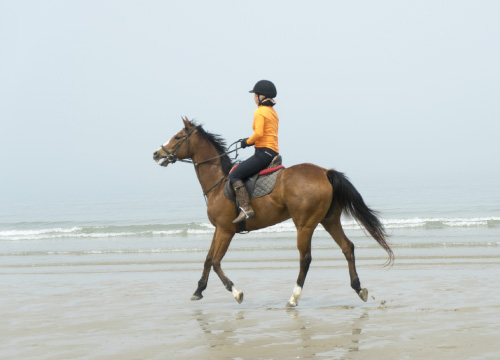 勝浦浜体験乗馬