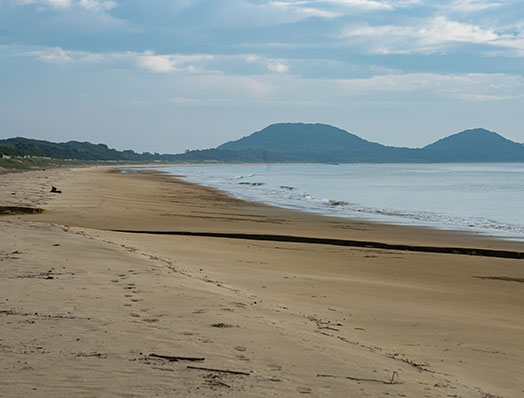 海水浴